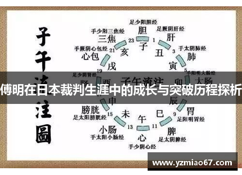 傅明在日本裁判生涯中的成长与突破历程探析