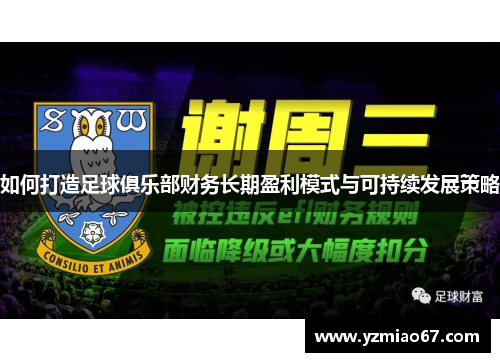 如何打造足球俱乐部财务长期盈利模式与可持续发展策略