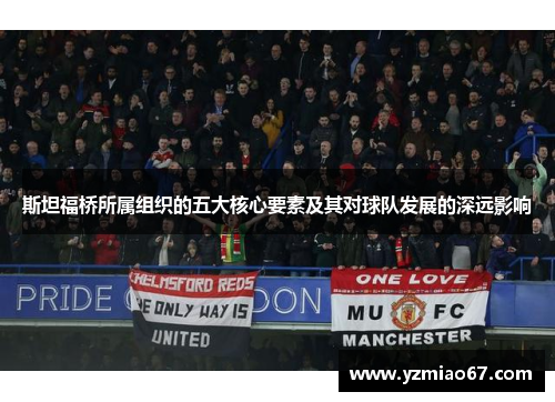 斯坦福桥所属组织的五大核心要素及其对球队发展的深远影响